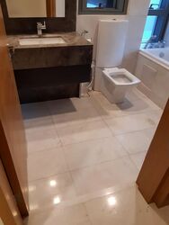 The Concourse (D7), Condominium #473795721